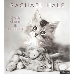 Chats, chiens et compagnie - Occasion