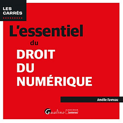 L'essentiel du droit du numérique