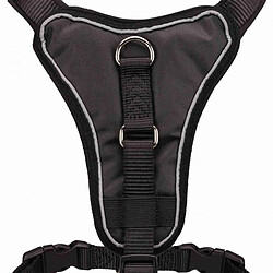 Equipement de transport pour chien