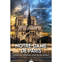 Notre-Dame de Paris : lorsqu'une cathédrale renaît de ses cendres - Occasion