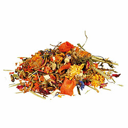 Acheter Nourriture pour tortues Trixie 100 g