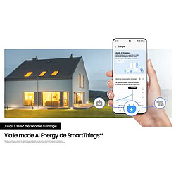 Samsung RB50DG601ES9 - Inox pas cher