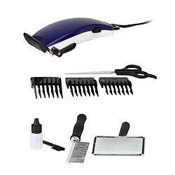 Orbegozo CTP 5050 - Bleu