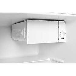 Melchioni Family Melchioni ARTIC47LT Mini frigidaire avec congélateur pas cher
