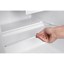 Acheter Melchioni Family Melchioni ARTIC47LT Mini frigidaire avec congélateur