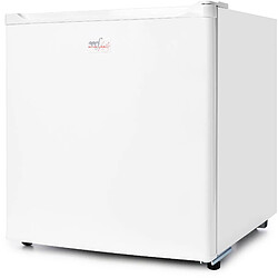 Melchioni Family Melchioni ARTIC47LT Mini frigidaire avec congélateur