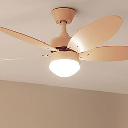 Cecotec Aero 4260 - Ventilateur Orange