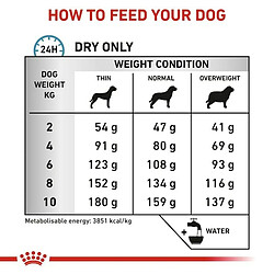 Acheter Royal Canin Anallergenic Small VHN Adulte