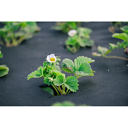 Avis 120 m² de film de paillage Aquagart - Noir