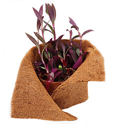 Acheter Aquagart Tapis de Coco 3 m