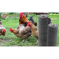 Aquagart Grillage à Maille Hexagonale 40m - Galvanisé