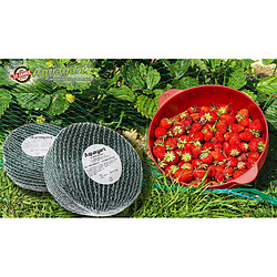 Acheter Aquagart Filet protection oiseaux 8 m x 8 m - Vert