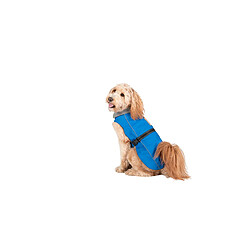 Dog Gone Smart Imperméable - Bleu 40 cm