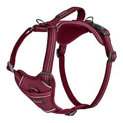 Company of Animals Harnais - Bordeaux XS 20-32 cm