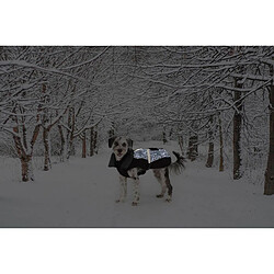 Dog Gone Smart Manteau Chien - Noir - 30 cm