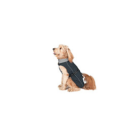 Avis Dog Gone Smart Imperméable Chien - Noir - 45 cm