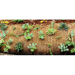 Acheter Filet anti-érosion C000039685_AQUAGART - 3 m - 1 m large