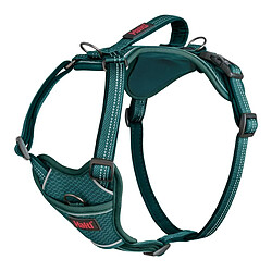COMPANY OF ANIMALS Harnais Turquoise M (35-55 cm)