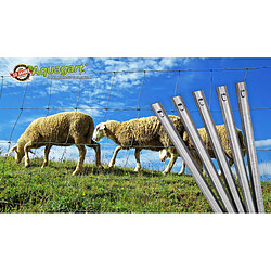 150 ancrages de clôture profil en W - Aquagart