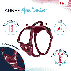 Company of Animals Harnais - Bordeaux XS 20-32 cm