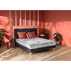 Mérinos Ensemble Merinos Morning Routine