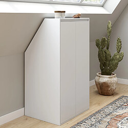 Idmarket Armoire sous pente 2p TOMI