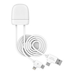 XOOPAR Câble de Charge Transfert 4-en-1 Ice-Tag