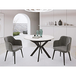 WFL GROUP Table extensible Lily