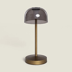 Avis Ledkia Lampe à poser LED portable - Gris