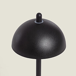 Acheter Ledkia Lampe LED Pirinoa - Noir