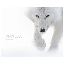 Arctique