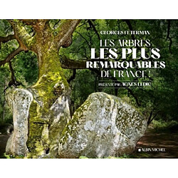 Les arbres les plus remarquables de France !