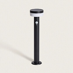 Ledkia Balise Extérieure Solaire Ashier Noir