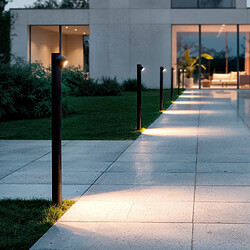 Ledkia Rihard - Noir