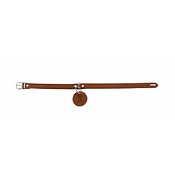 Collier pour chien