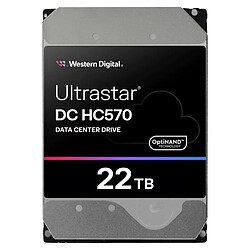 Western Digital Ultrastar DC HC570 22 To (0F48155)