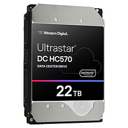 Avis Western Digital Ultrastar DC HC570 22 To (0F48155)