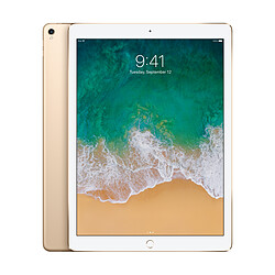 Apple iPad Pro 12,9 - 64 Go - WiFi - MQDD2NF/A - Or Tablette 12,9'' Retina - Puce A10X - WiFi - Stockage 64Go - iOS 12 - Touch ID