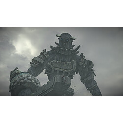 Acheter Sony Interactive Entertainment Jeu PS4 Shadow Of The Colossus