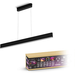 Philips Hue Hue White & Color Ambiance ENSIS Suspension 2x39W - Noir (télécommande non incluse)