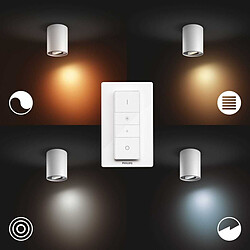 Acheter Philips Hue White Ambiance PILLAR Spot 1x5.5W extension - Blanc (télécommande non incluse) - Bluetooth