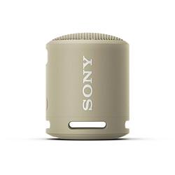 Sony Enceinte Bluetooth SRS-XB13 - Gris Minéral Profitez d'un son surround puissant, de basses profondes et percutantes et de voix claires - Autonomie 16h - Etanche - Kit mains libres