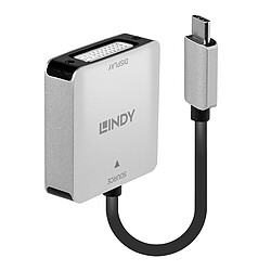 Lindy Convertisseur USB Type C vers DVI 