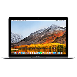 Apple MacBook 12 Retina - 512 Go - MLH82FN/A - Gris Sidéral · Reconditionné 12'' - Intel Core m5 - HDD 512 Go - RAM 8 Go - Intel HD Graphics 515