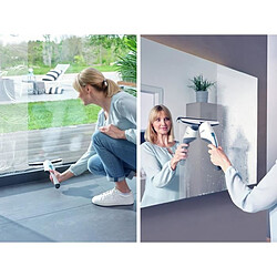 Avis Leifheit Aspirateur de vitres Nemo 51030