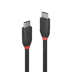 Lindy 36905 USB cable