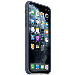 Avis Apple iPhone 11 Pro Max Silicone Case - Alaskan Blue