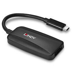 Avis Lindy Convertisseur USB Type C vers DisplayPort 1.4