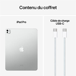 Apple iPad Pro 11 pouces (2024) - Wi-Fi - 256 Go - Argent