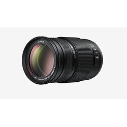 objectif panasonic 4/3 100-300